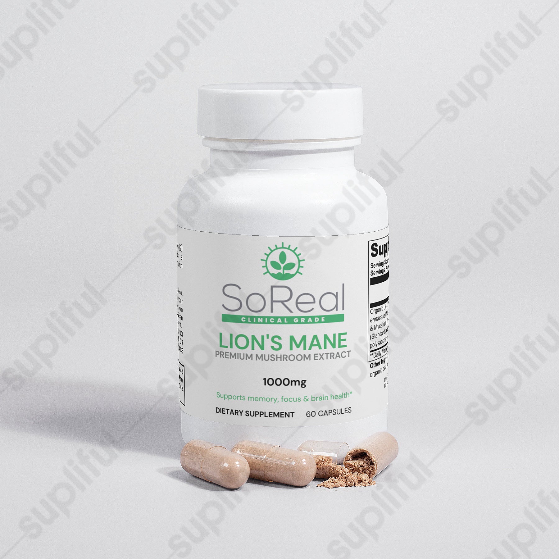 Lion's Mane Premium Mushroom Extract